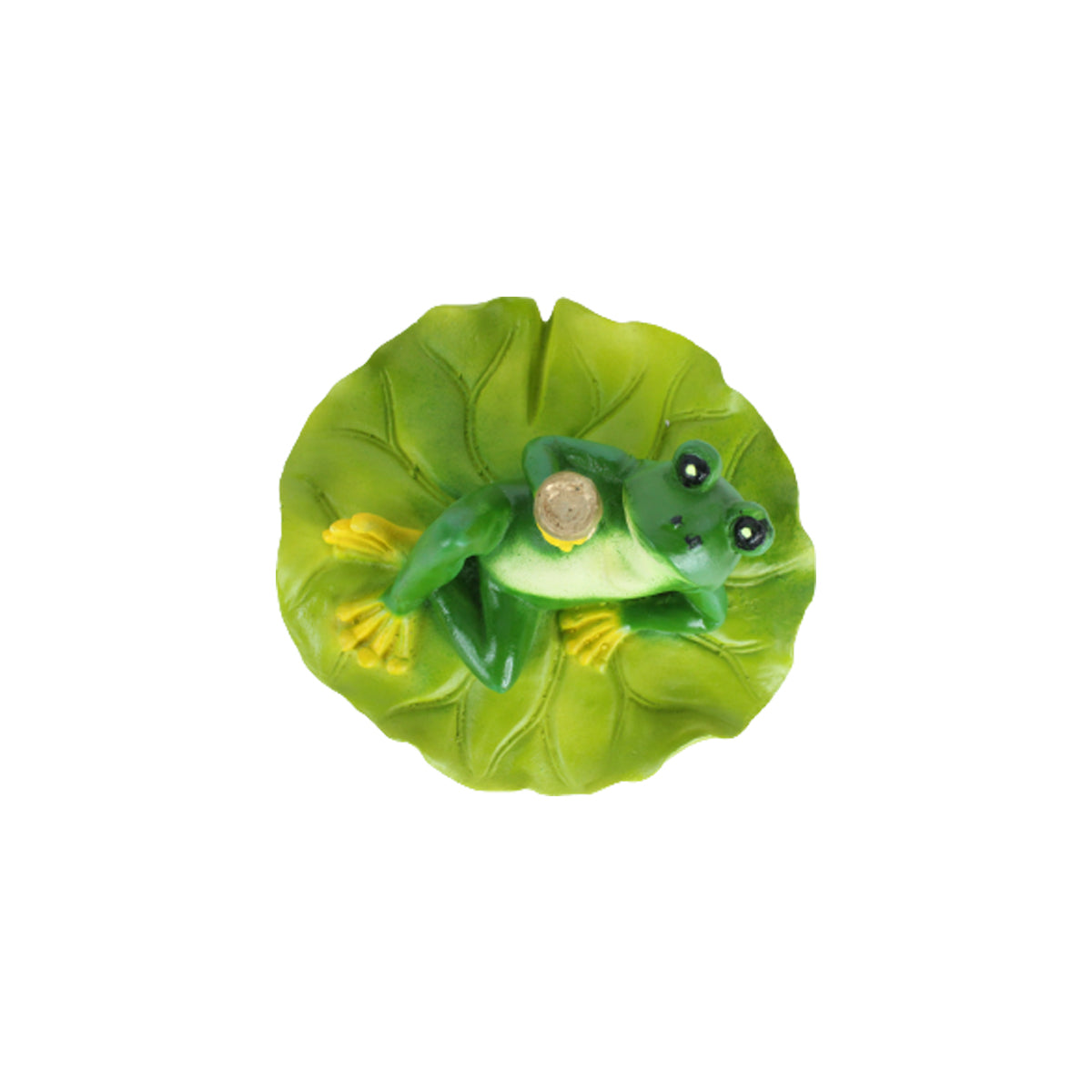 Our Green Window Relaxing Frog on leaf 2