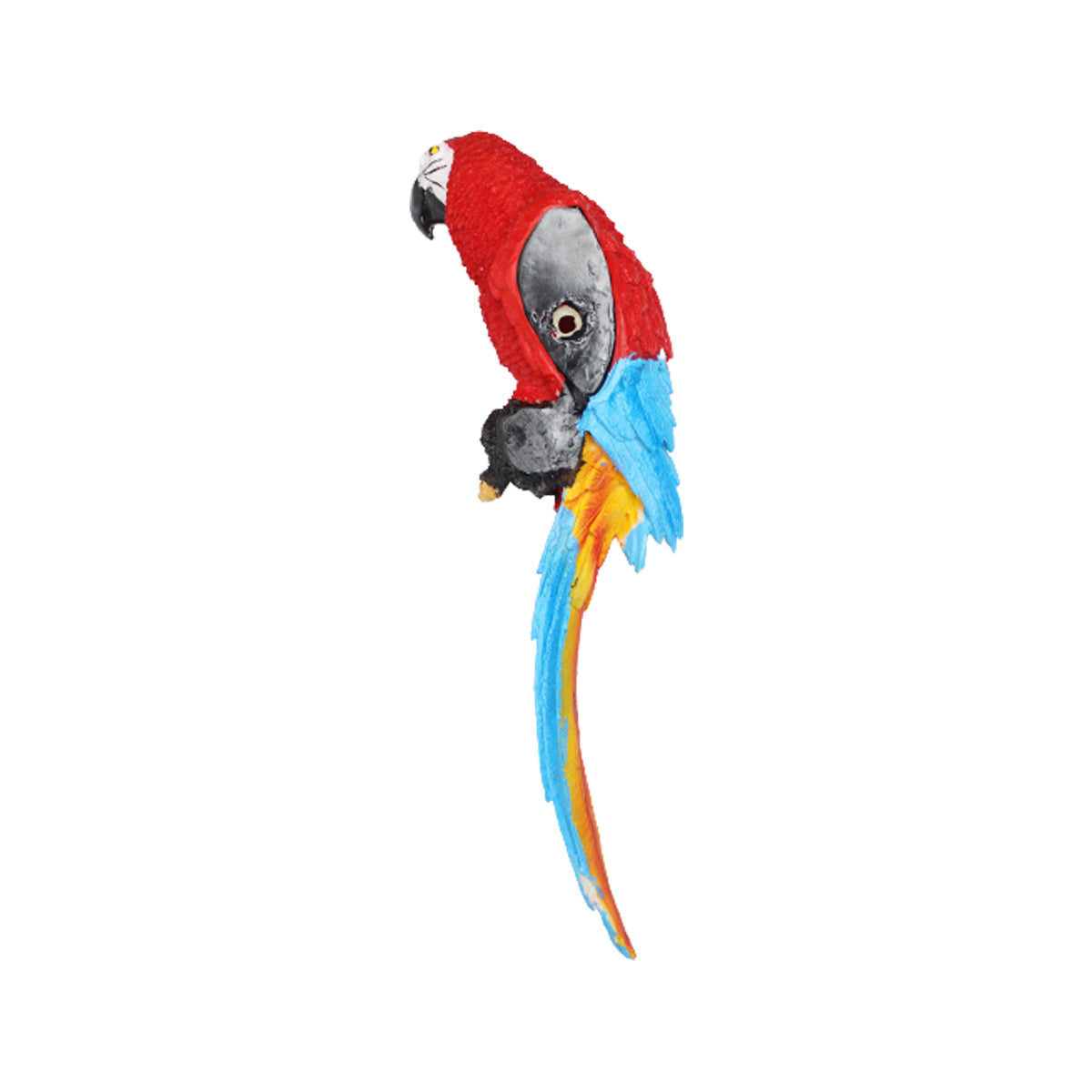 Our Green Window Red Parrot to be put on wall for home and Garden decoration
