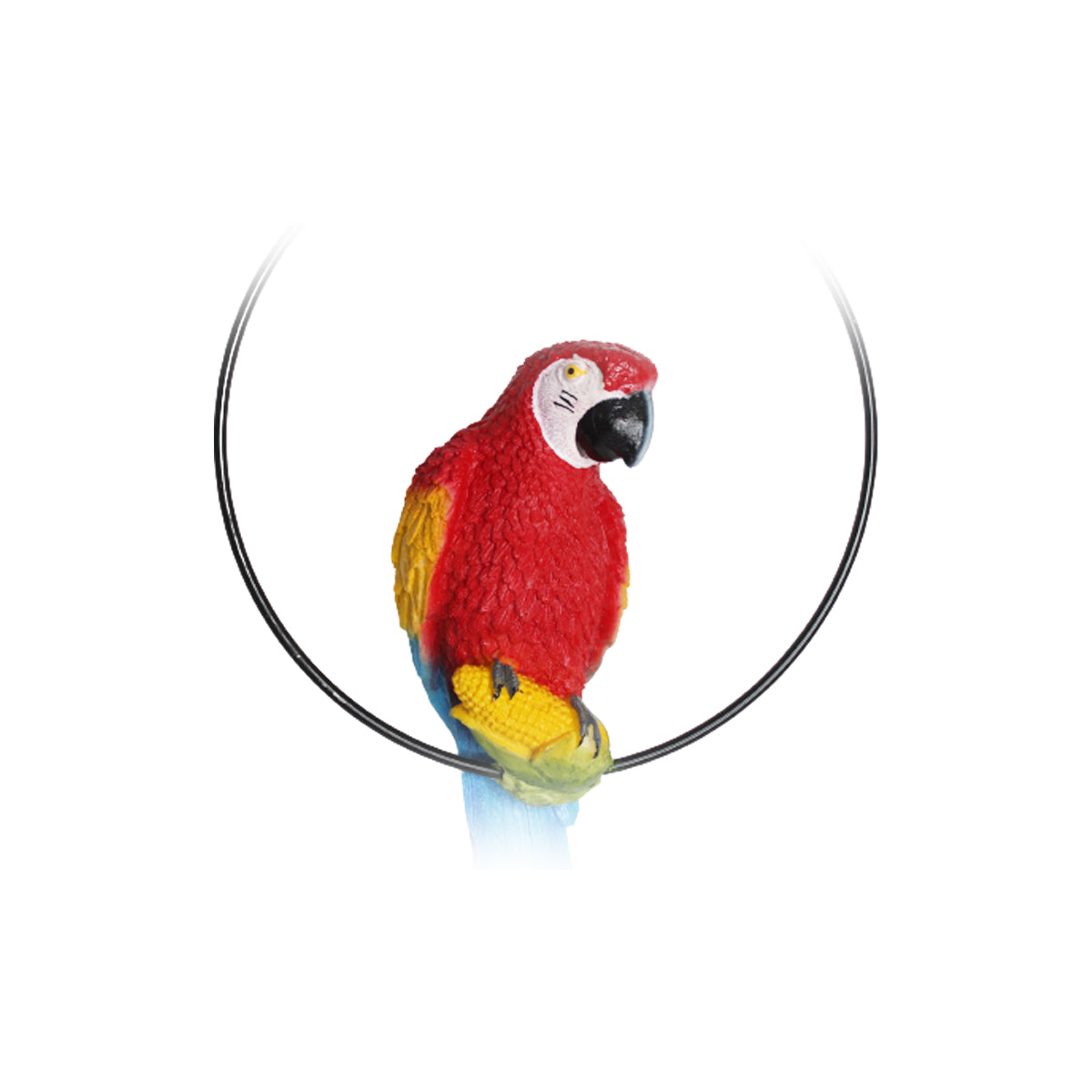 Our Green Window Imported Red Parrot in Ring for Hanging, Home and Garden Decor