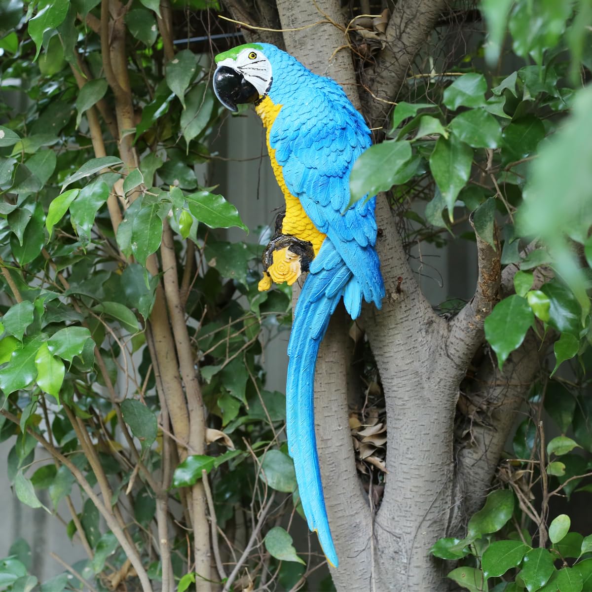 Our Green Window Big Parrot Blue to be put on wall, home decor, garden decor, home decoration, parrots, bird decor, balcony decoration, gift