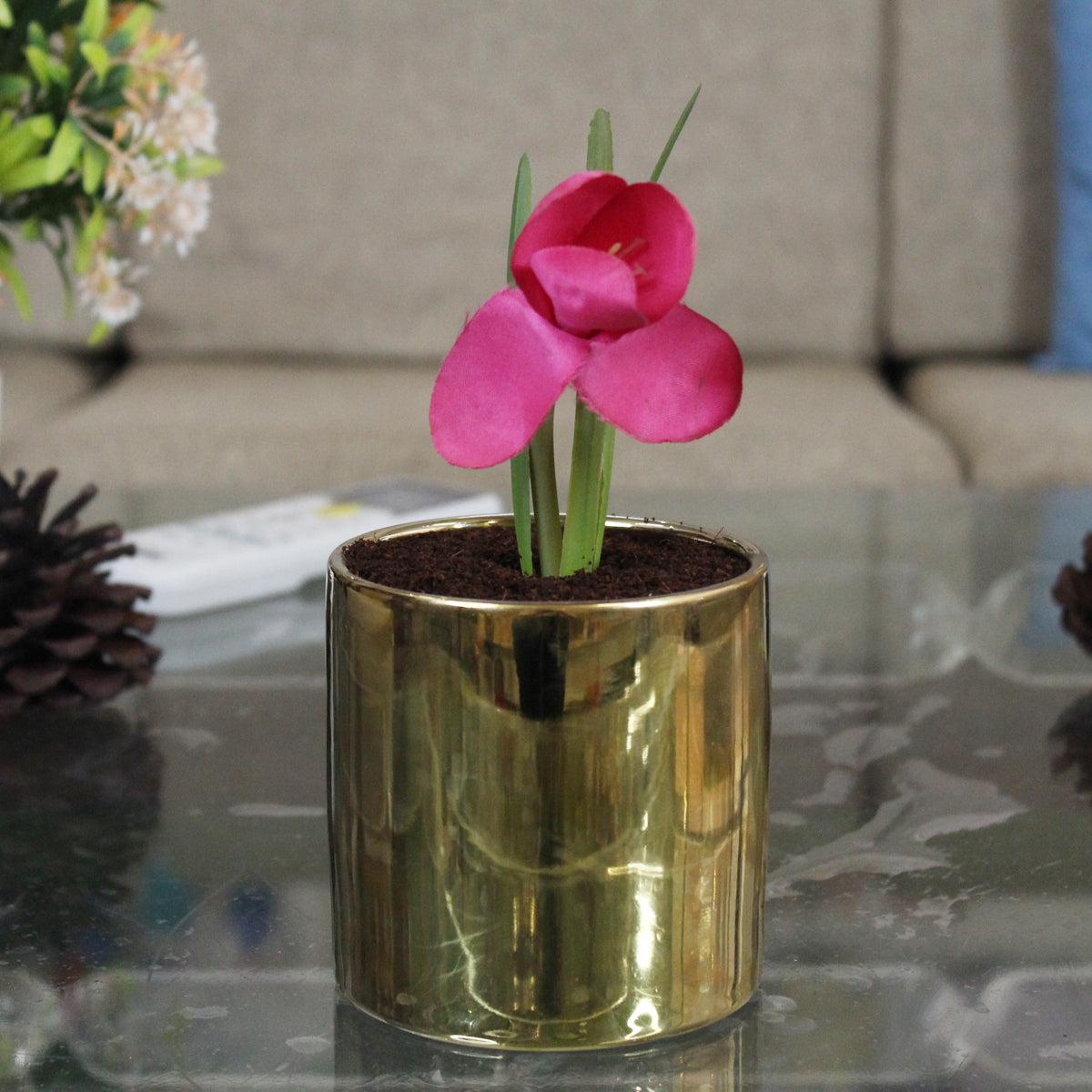 Golden Ceramic Pot (Inside-Black)