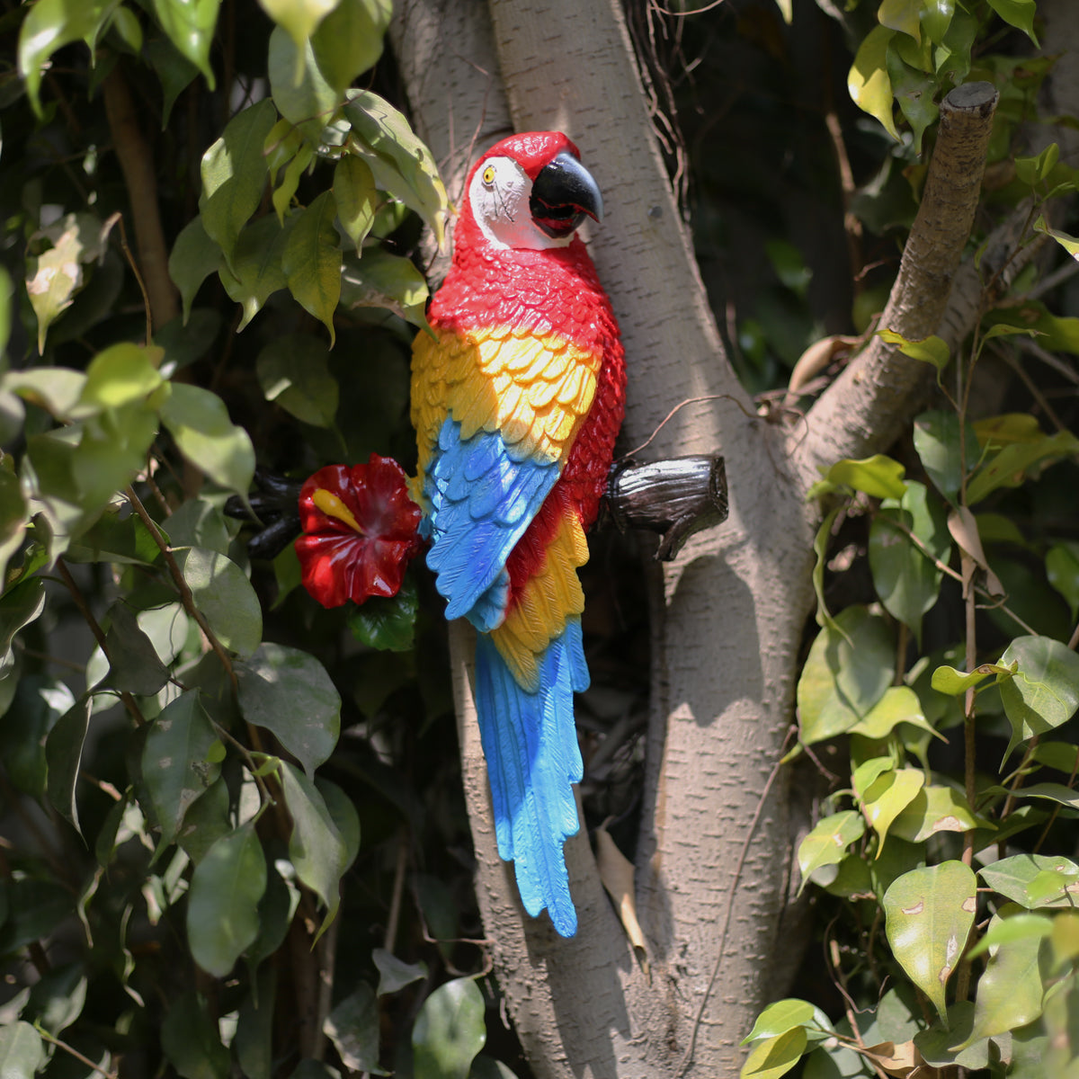 Resin wall Parrot (wall decor, home decor)