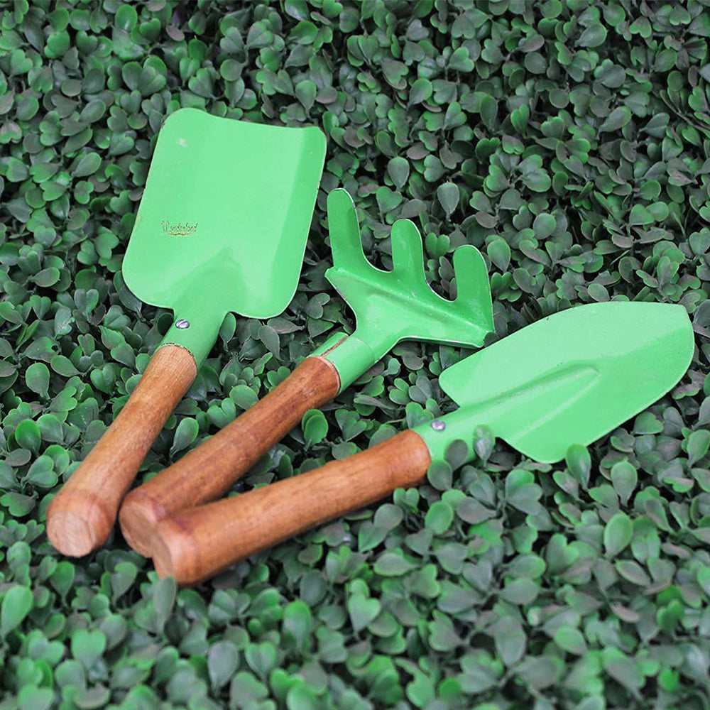 Set of 3 : Kids Gardening Tool