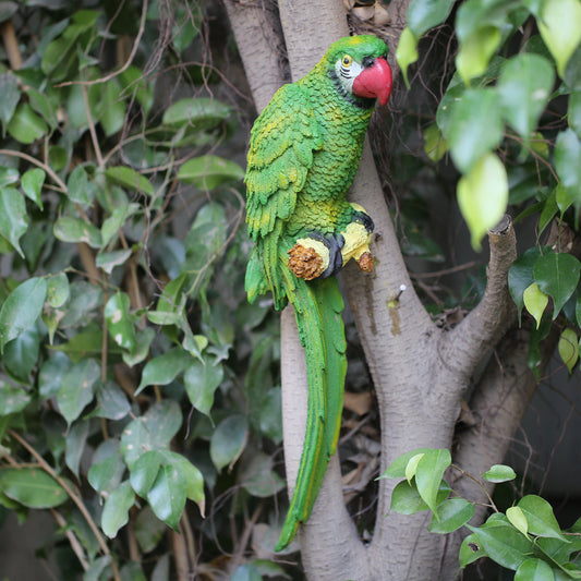 Green wall parrot