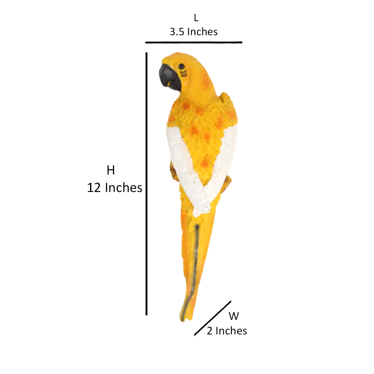 Wonderland Yellow Parrot-Medium outdoor statue  (Front view)