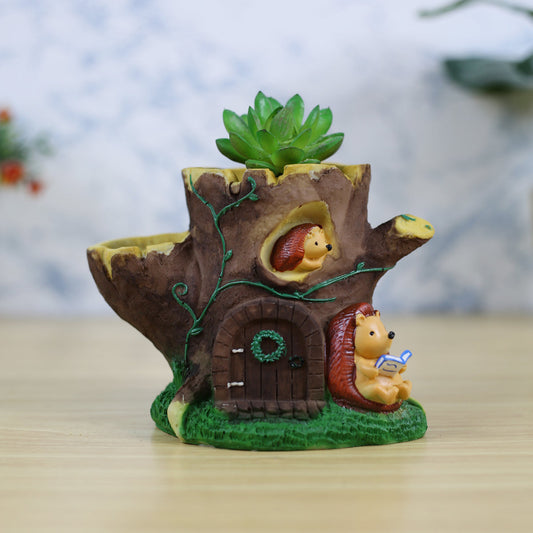 Wonderland Succulent hedgehoge planters