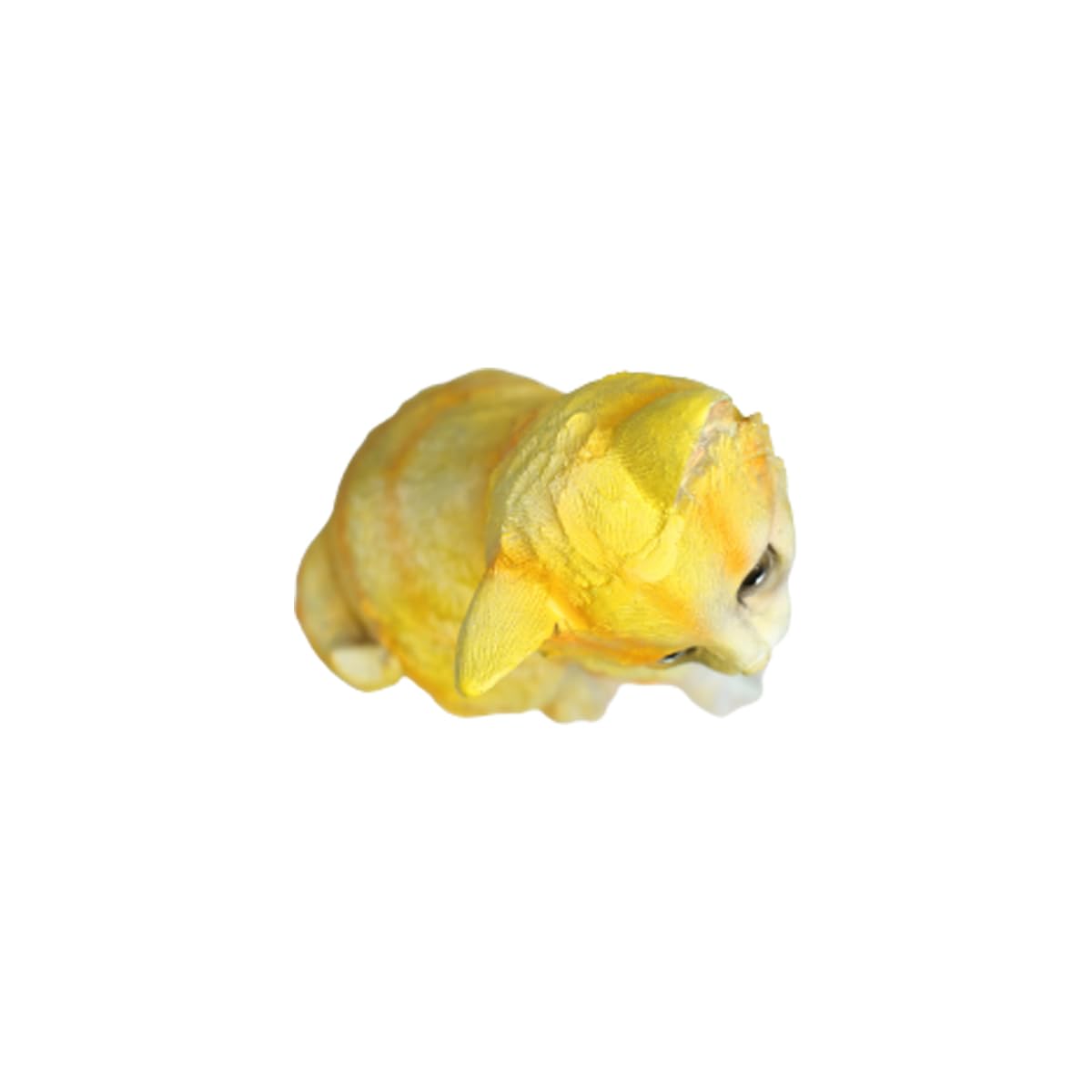 Wonderland resin yellow kitty statue