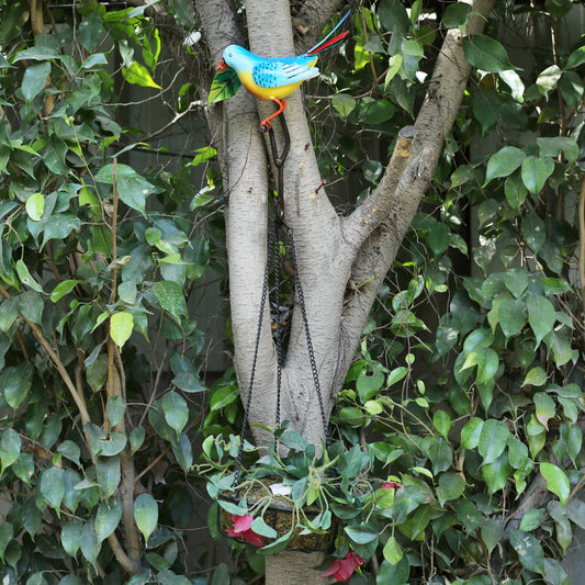 Our Green Window Blue Bird wall Hook/Hanger For Home Decoration