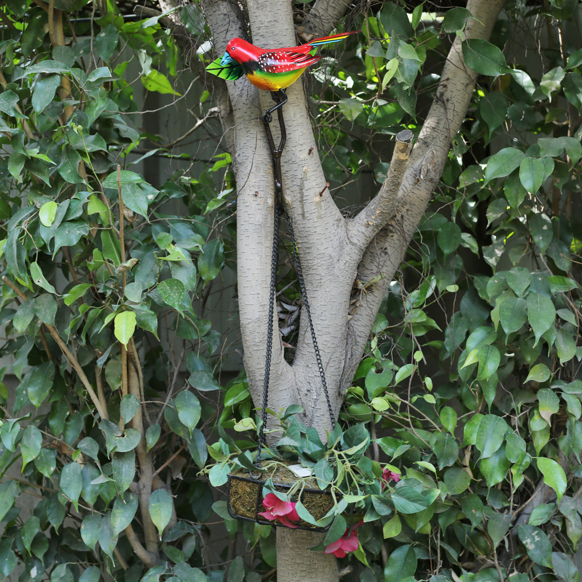 Red Bird wall Hook/Hanger For Home Decoration