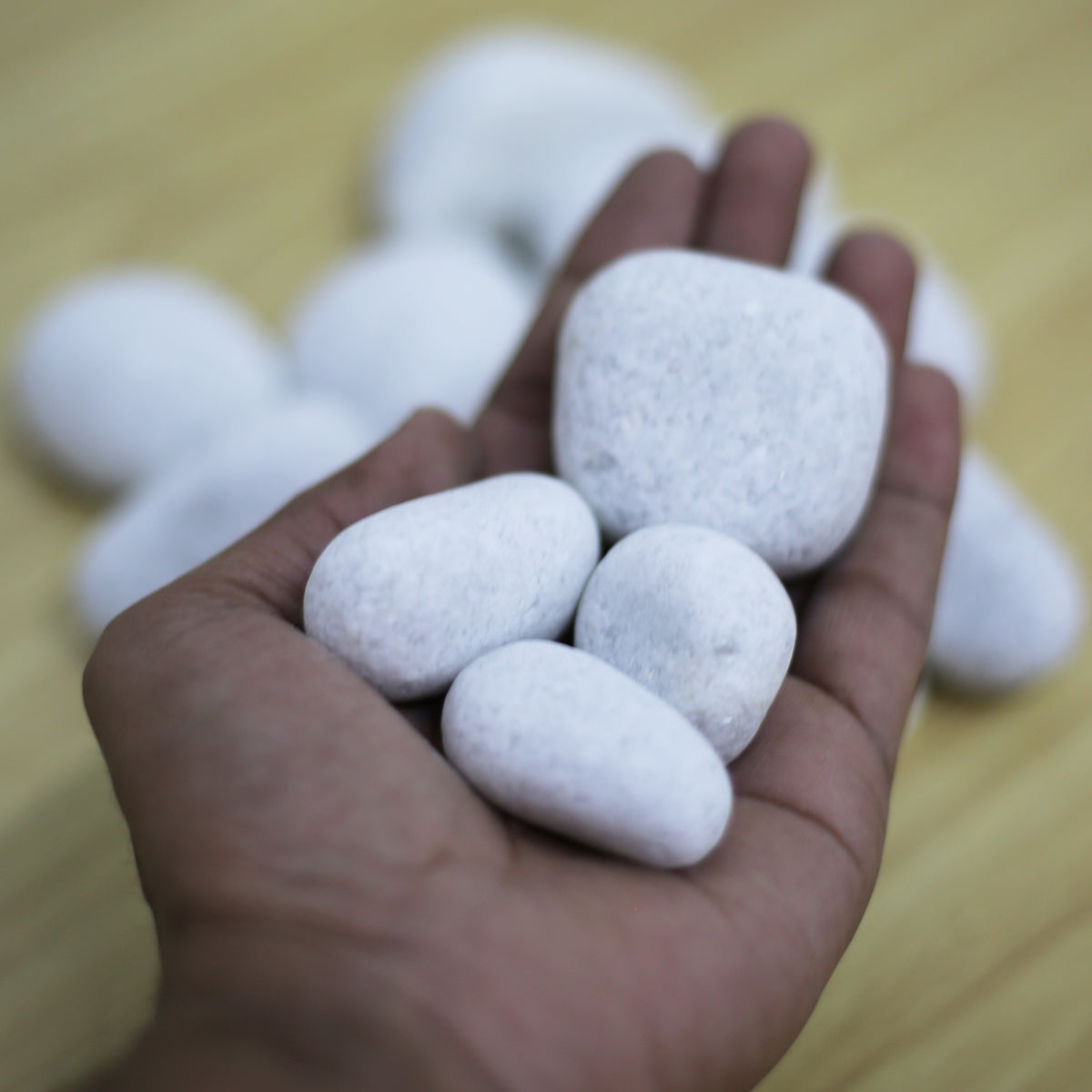 Wonderland Super white Small |Decorative Pebbles|Garden Pebbles|Colored Pebbles|Smooth pebbles|River Pebbles ( 1 kg pack )