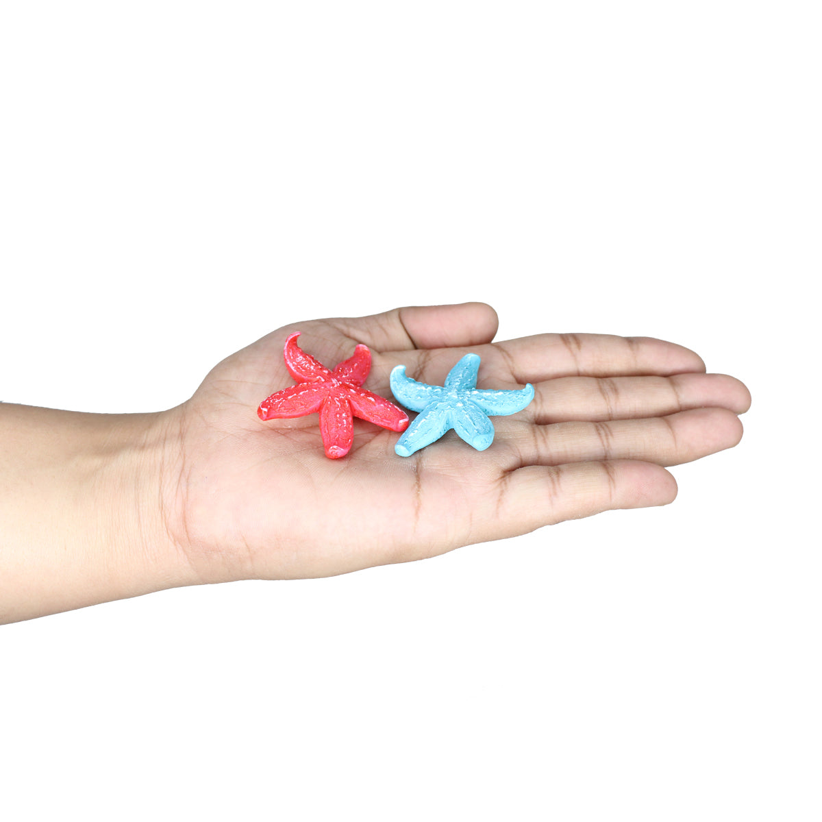 Miniature Toys : (Set of 6) Star Fish for Fairy Garden Accessories