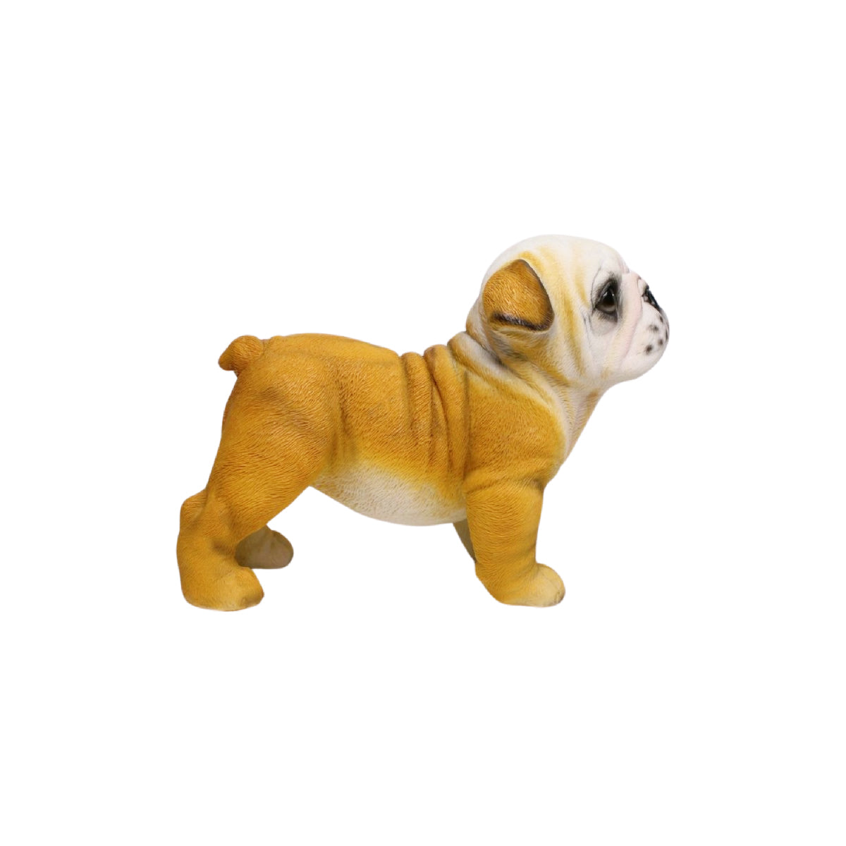 Wonderland Bulldog Statue Resin puppy garden decoration| Resin dog figurine| Dog lover garden gift