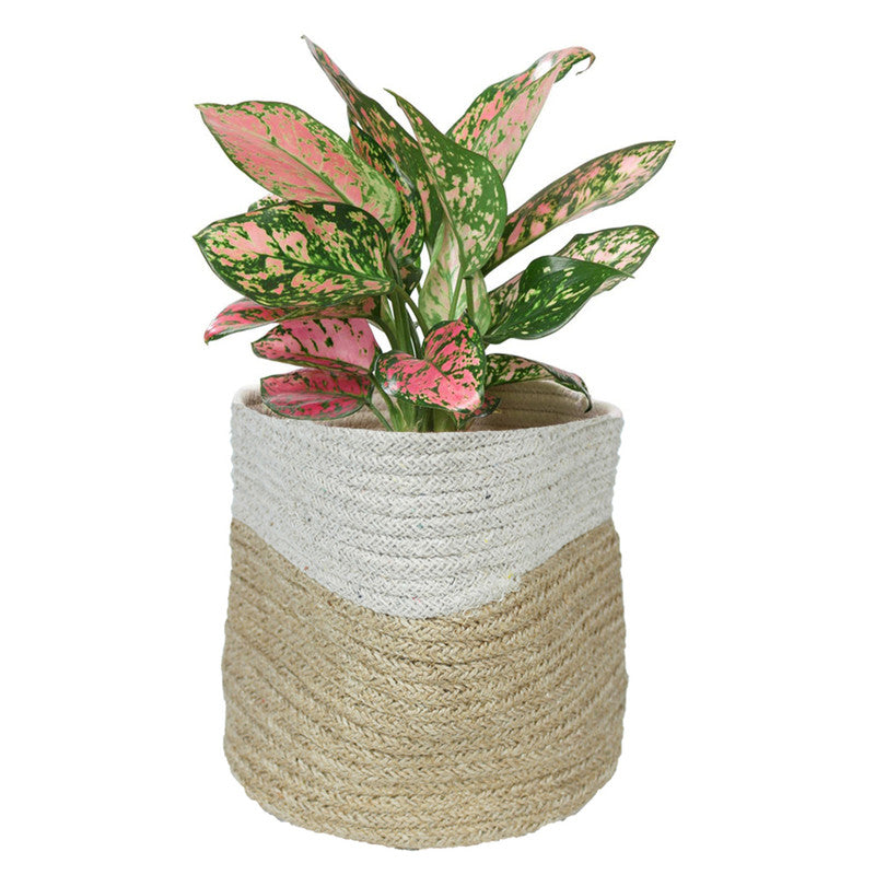 Big Jute Plant Bag for Home and Garden Decoration