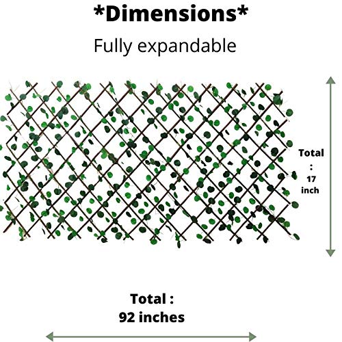 ( Set of 2) Expanding Trellis Fence for Home Decoration.