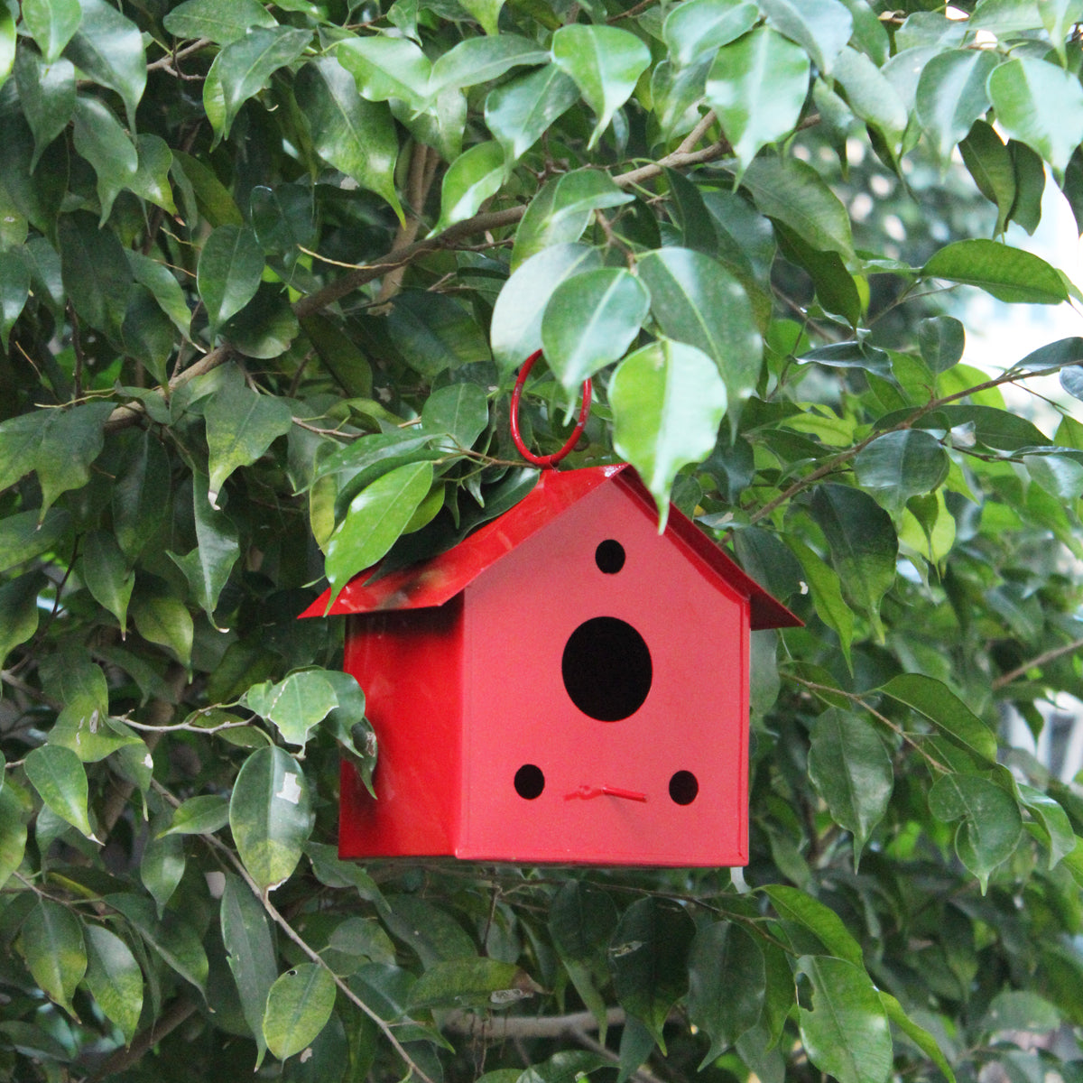 Hanging Metal Bird House for Garden Decoration (Red)